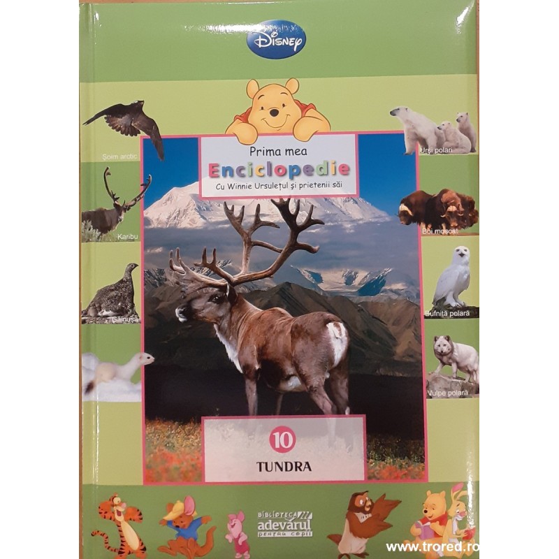 Prima mea enciclopedie cu Winnie Ursuletul si prietenii sai vol.10 Tundra