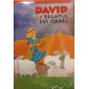 David si regatul lui Israel Biblia ilustrata pentru copii vol. 6