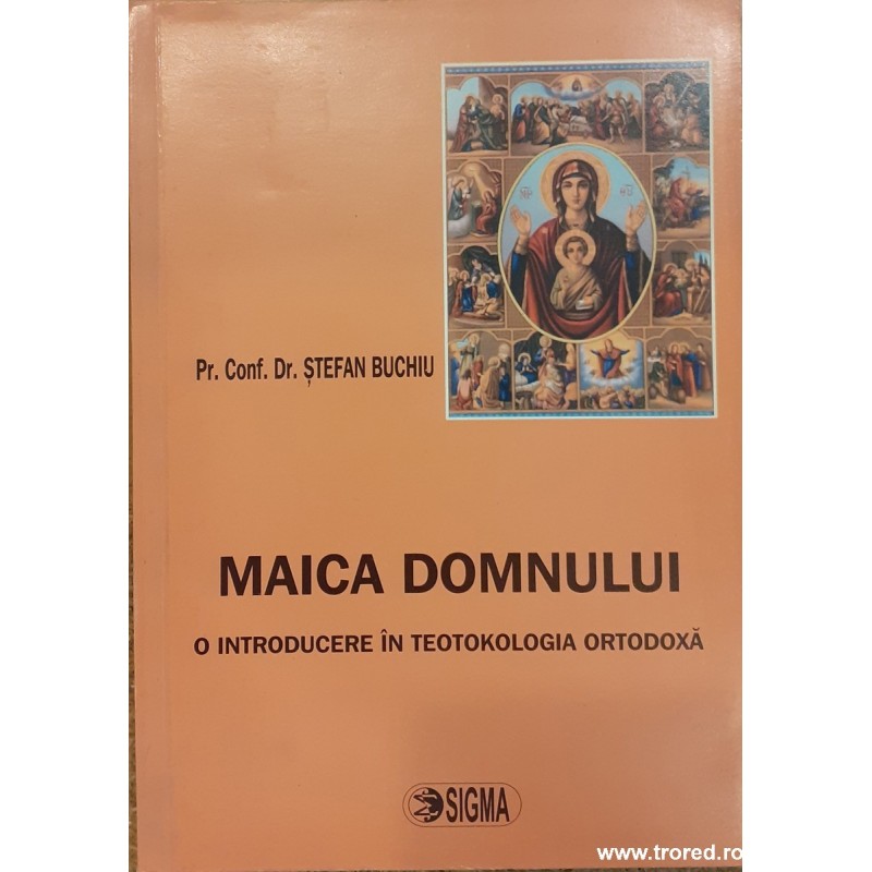 Maica Domnului O introducere in teotokologia ortodoxa