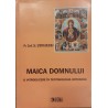 Maica Domnului O introducere in teotokologia ortodoxa