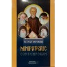 Minipateric contemporan