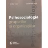 Psihosociologia grupurilor si organizatiilor