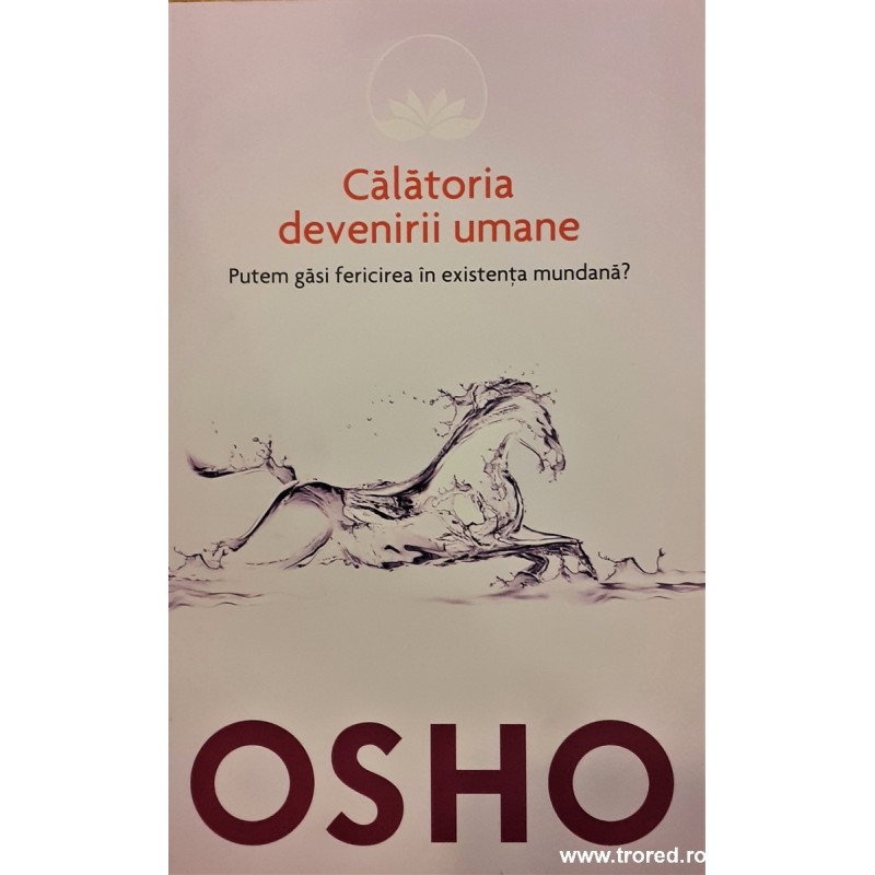 Calatoria devenirii umane Putem gasi fericirea in existenta mundana?