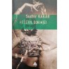 Ascetul dorintei. Un roman despre Kamasutra