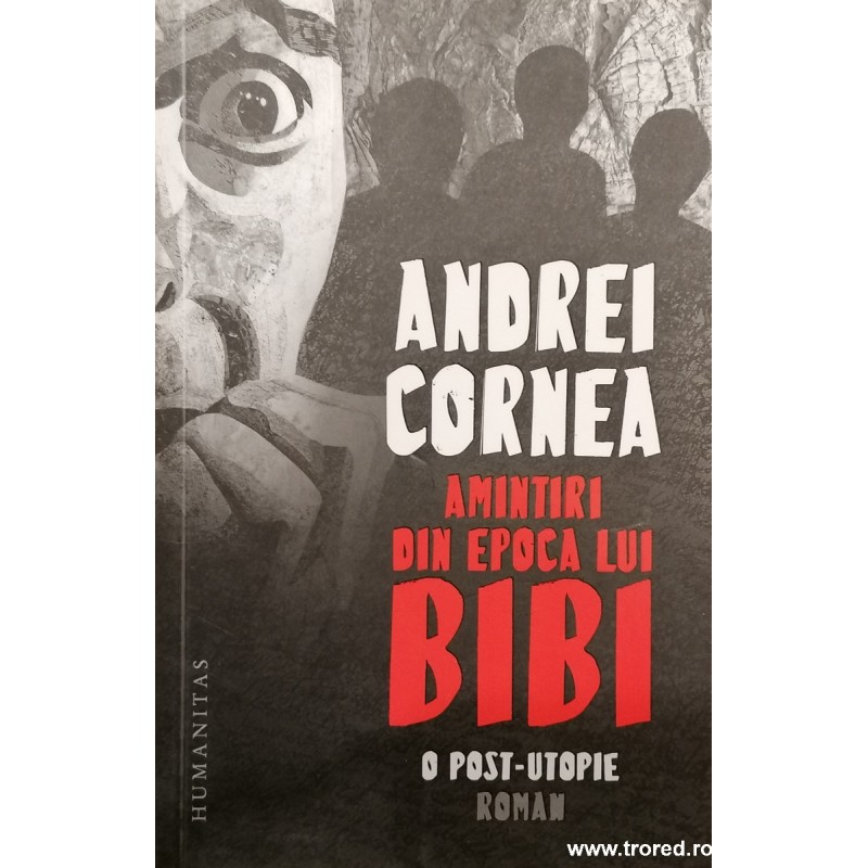Amintiri din epoca lui Bibi
