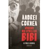 Amintiri din epoca lui Bibi