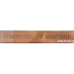 Compendiu de anatomie