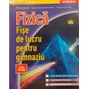 Fizica fise de lucru pentru gimnaziu clasele VI-VIII