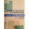 Inteligenta emotionala in Leadership