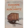 Evadare de la Auschwitz