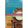 Rabdarea paianjenului