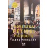 Povestea fetitei pierdute vol.4 Tetralogia Napolitana