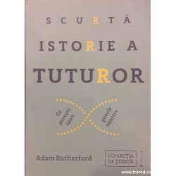 Scurta istorie a tuturor