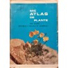 Mic atlas de plante din flora Republicii Socialiste Romania