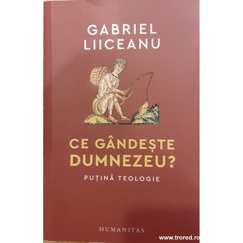 Ce gandeste Dumnezeu? Putina teologie