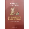Ce gandeste Dumnezeu? Putina teologie