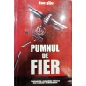 Pumnul de fier .Confesiunile colonelului Cojocea fost Leutnant in Wehrmacht