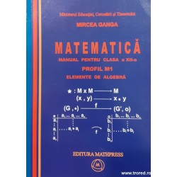 Matematica Manual pentru...