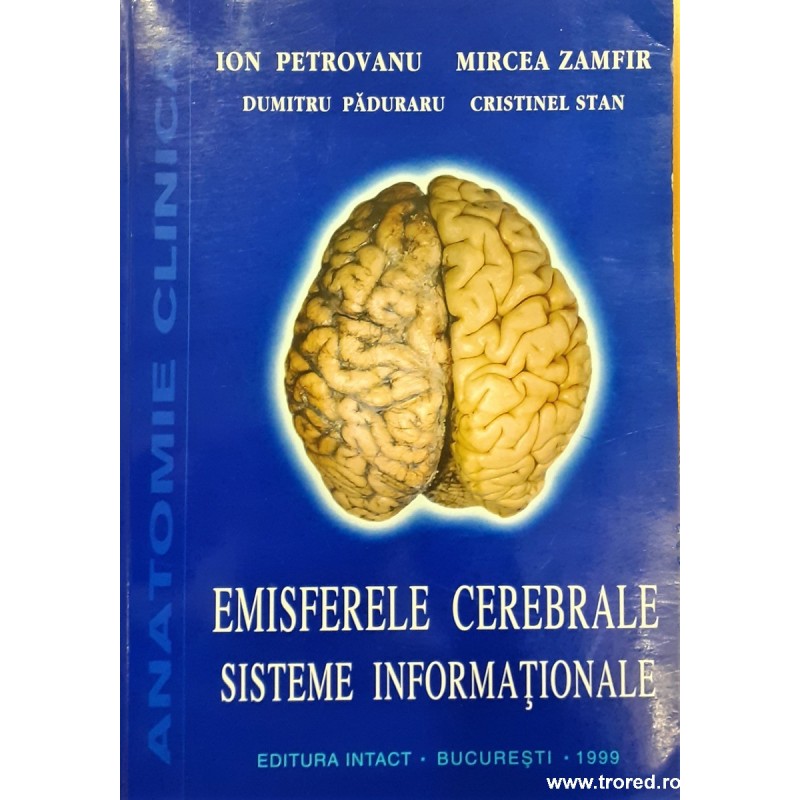 Emisferele cerebrale Sisteme informationale