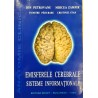 Emisferele cerebrale Sisteme informationale