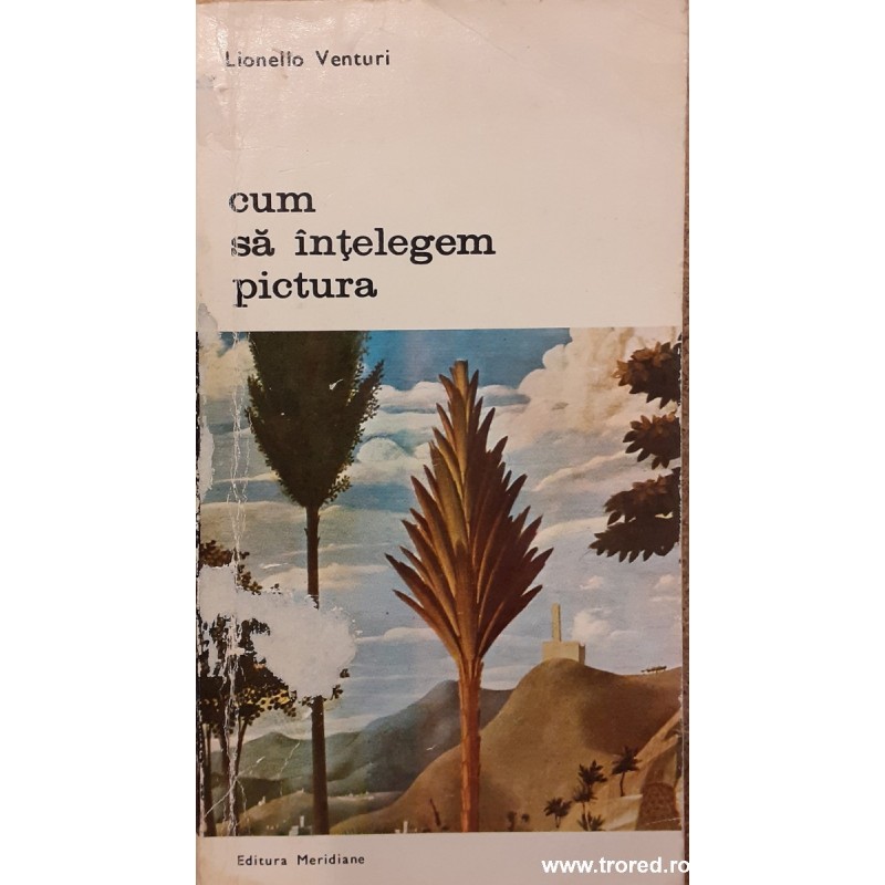 Cum sa intelegem pictura