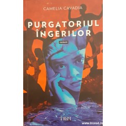 Purgatoriul ingerilor Camelia Cavadia