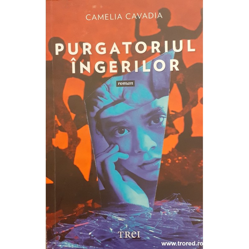 Purgatoriul ingerilor Camelia Cavadia