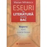 Eseuri de literatura pentru BAC