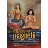 Magnetismul si magnetii volumul 2