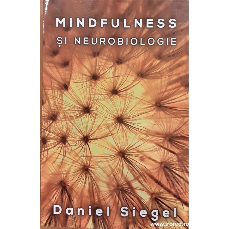Mindfulness si neurobiologie