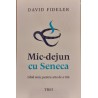 Mic dejun cu Seneca. Ghid istoric pentru arta de a trai