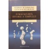 O mai scurta istorie a timpului