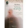 Furtuna de gheata