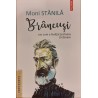 Brancusi sau cum a invatat testoasa sa zboare