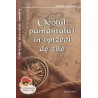 Ocolul pamantului in optzeci de zile