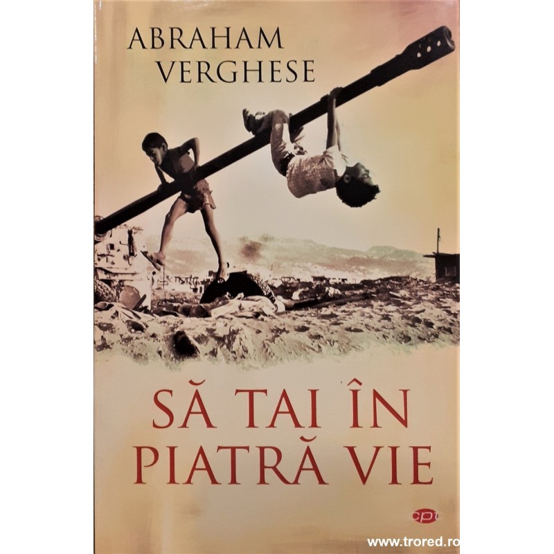 Sa tai in piatra vie