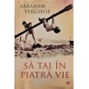 Sa tai in piatra vie
