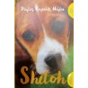 Shiloh