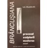 Procesul sculpturii moderne. Eseuri. Brancusiana