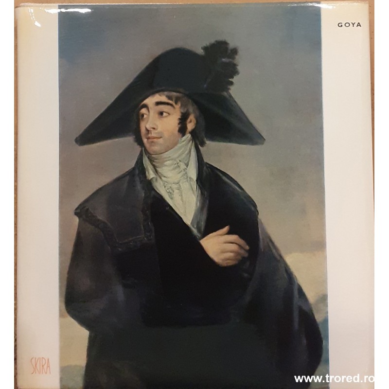 Goya Skira format mic