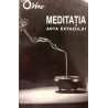 Meditatia arta extazului
