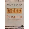 Pompeii viata unui oras roman