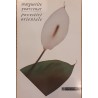 Povestiri orientale