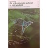 Ce imbolnaveste sufletul si ce il vindeca Constelatiile familiale si terapi lui Bert Hellinger