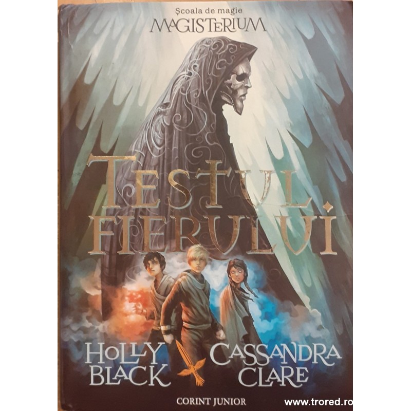 Testul fierului Scoala de magie Magisterium 1