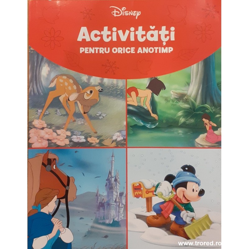 Activitati pentru orice anotimp disney