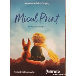 Micul print Antoine de Saint Exupery
