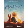 Micul print Antoine de Saint Exupery