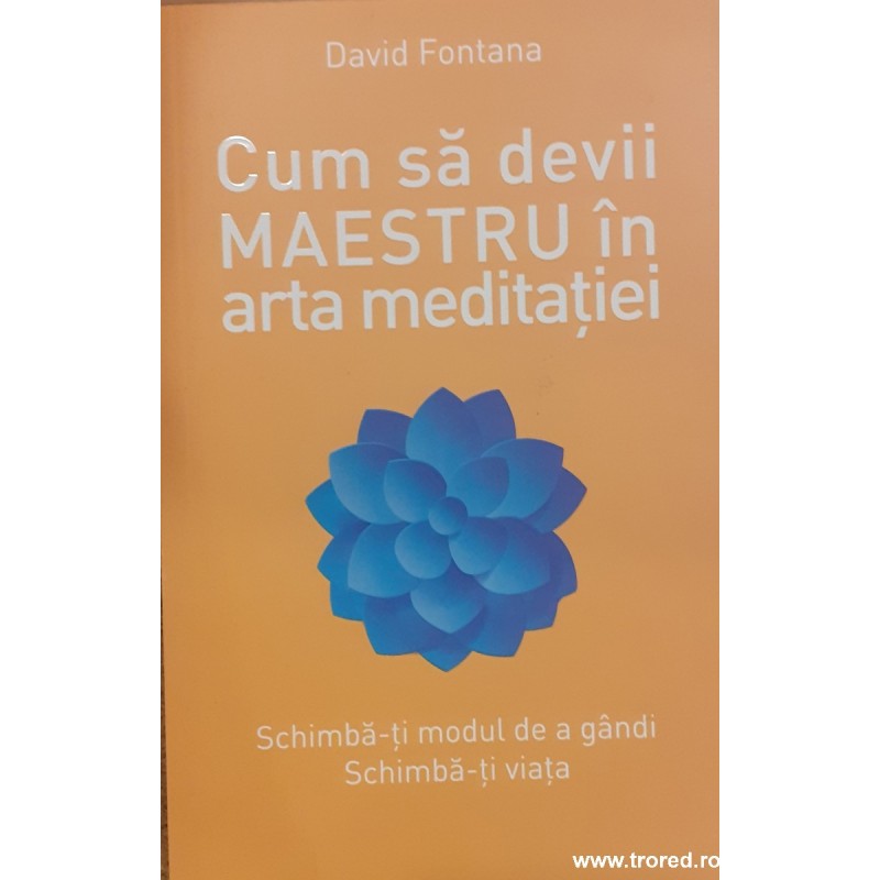 Cum sa devii maestru in arta meditatiei