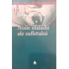 Noile maladii ale sufletului